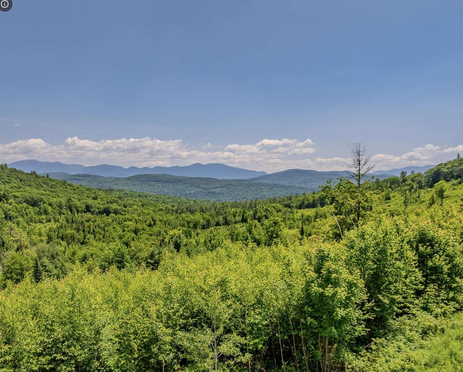 12.4 Acres of Land for Sale in Lisbon, New Hampshire
