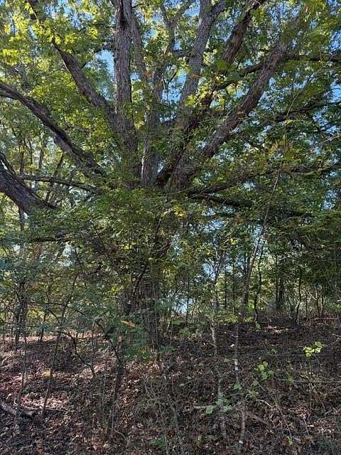 38 Acres of Recreational Land for Sale in Walnut Shade, Missouri
