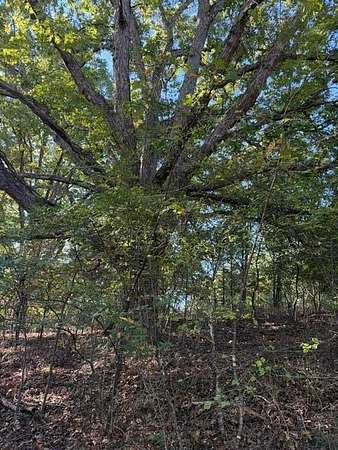 38 Acres of Recreational Land for Sale in Walnut Shade, Missouri