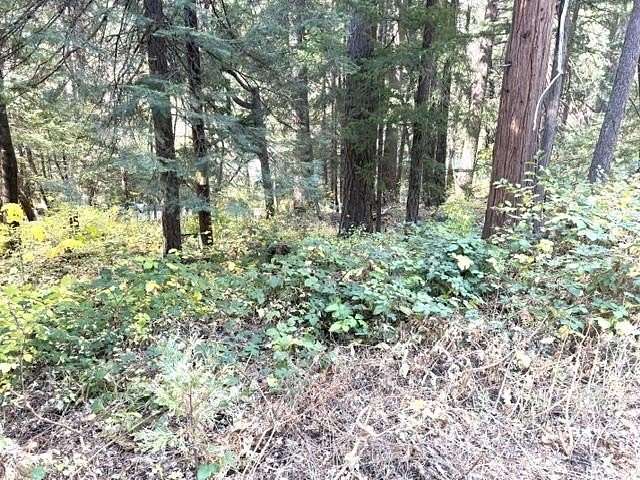 0.32 Acres of Residential Land for Sale in Dunsmuir, California
