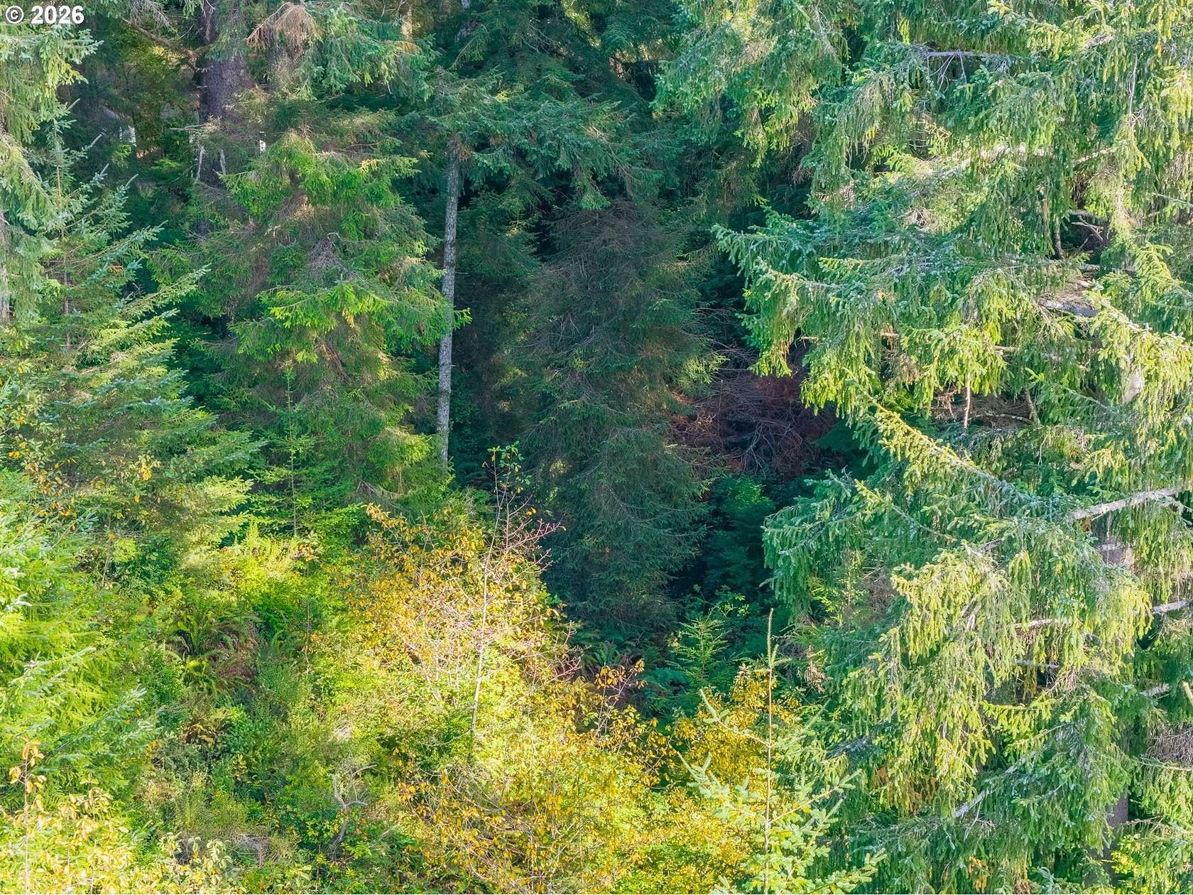 0.2 Acres of Land for Sale in Bandon, Oregon
