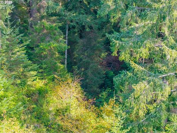 0.2 Acres of Land for Sale in Bandon, Oregon