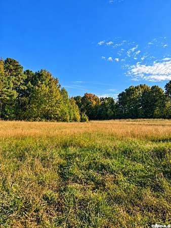 7.45 Acres of Residential Land for Sale in Brookland, Arkansas