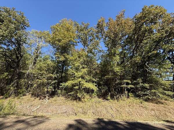 2.27 Acres of Residential Land for Sale in San Augustine, Texas