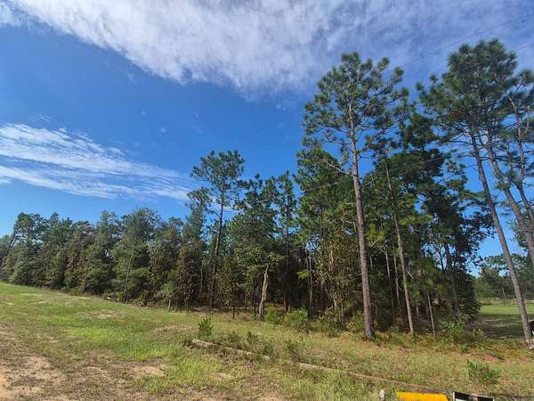 1.12 Acres of Land for Sale in Hawthorne, Florida