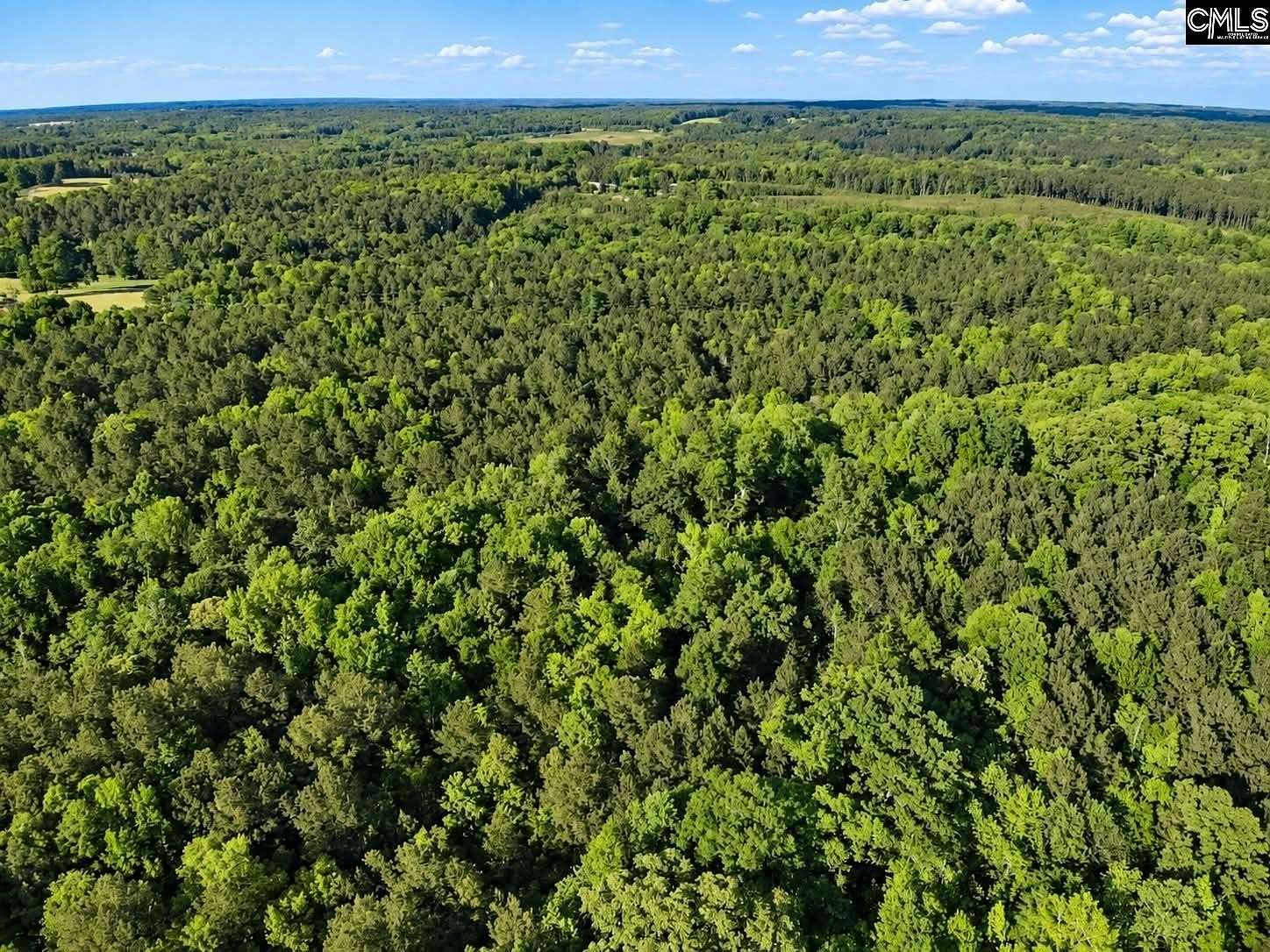 48 Acres of Land for Sale in Prosperity, South Carolina