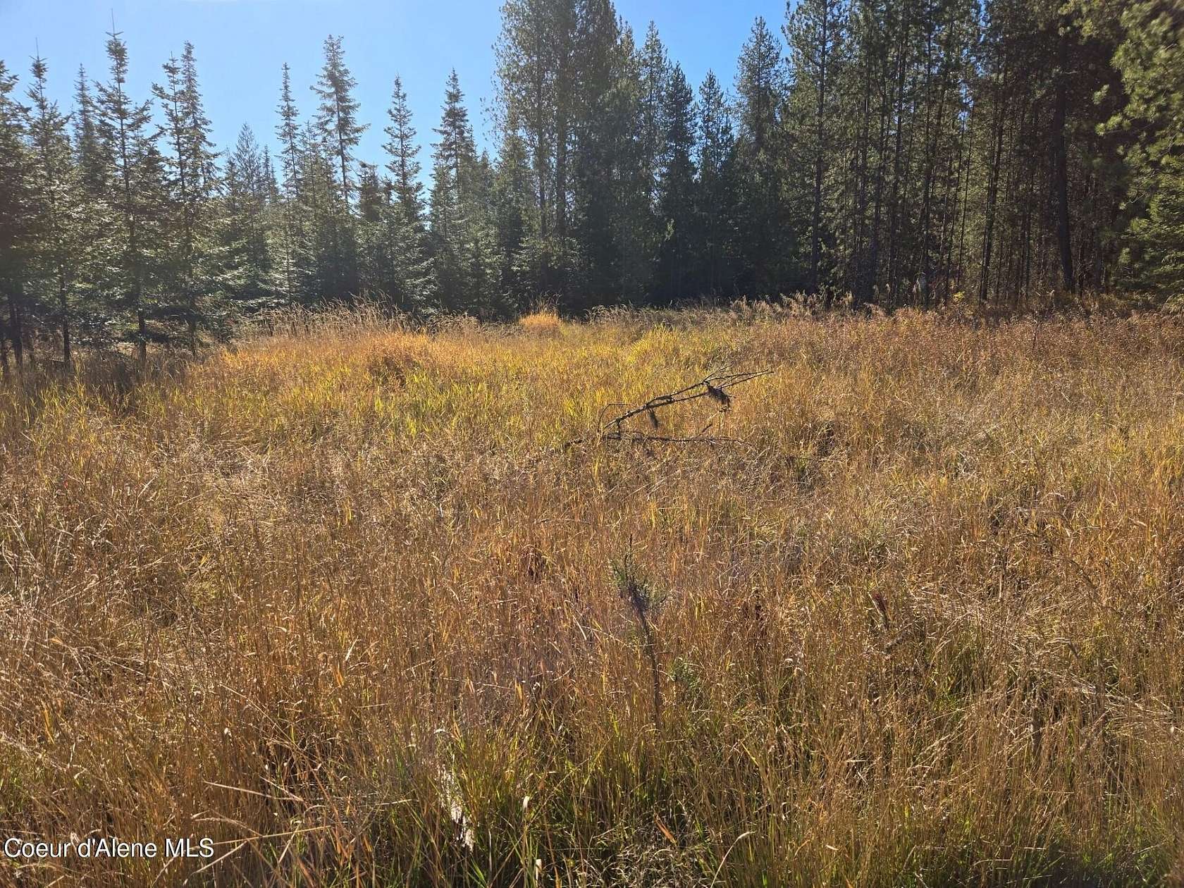 4 Acres of Land for Sale in Fernwood, Idaho