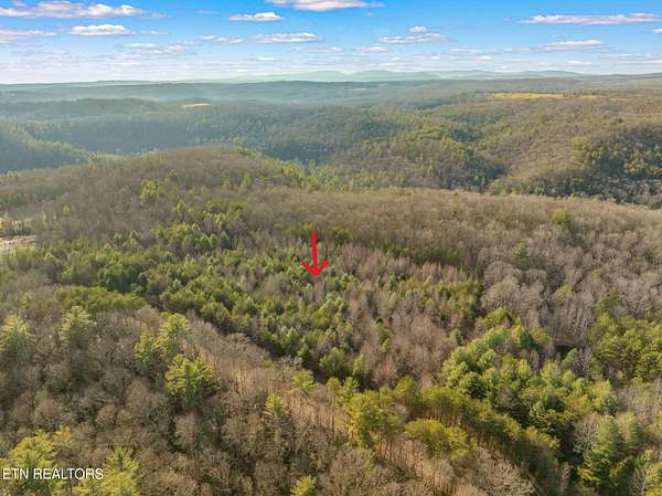 29.8 Acres of Land for Sale in Rockwood, Tennessee