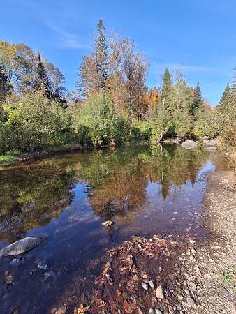 50 Acres of Commercial Land for Sale in Mount Chase Town, Maine