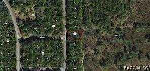 0.35 Acres of Residential Land for Sale in Citrus Springs, Florida