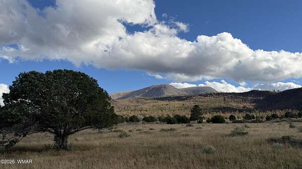 3 Acres of Residential Land for Sale in Nutrioso, Arizona