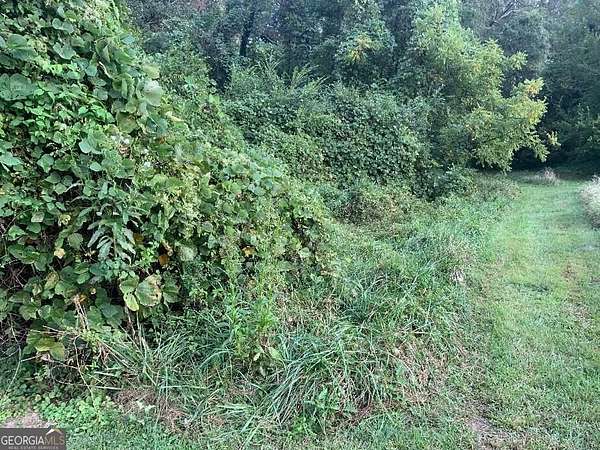1.62 Acres of Residential Land for Sale in Toccoa, Georgia