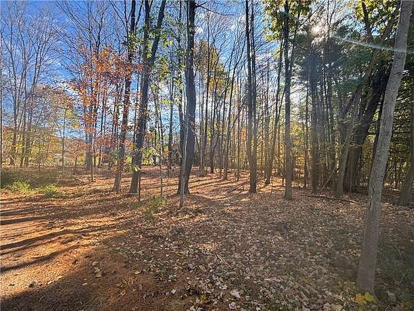 1.8 Acres of Improved Residential Land for Sale in Maryland, New York