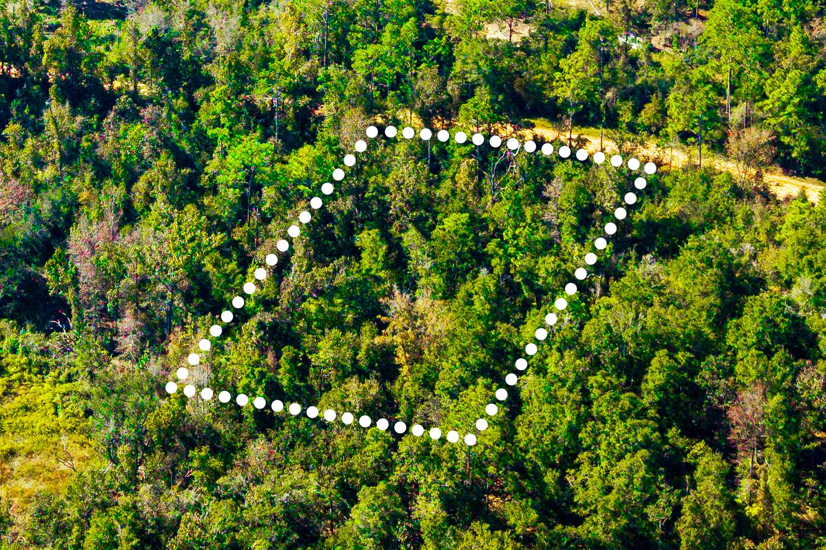 1.17 Acres of Residential Land for Sale in Alford, Florida