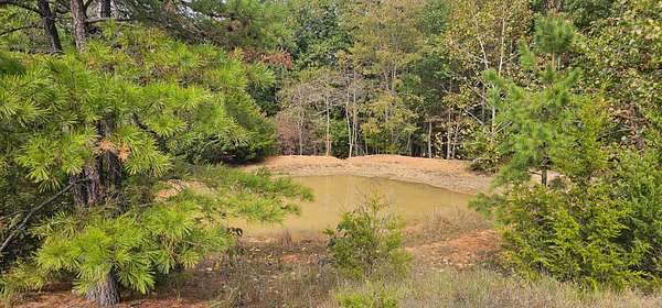5.8 Acres of Land for Sale in Zanoni, Missouri