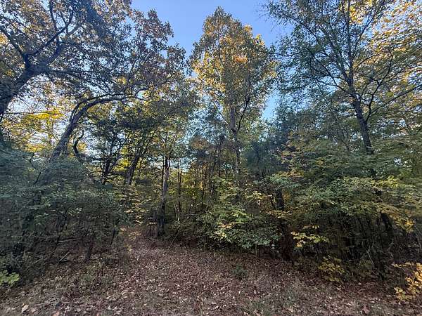 5.64 Acres of Agricultural Land for Sale in Poughkeepsie, Arkansas