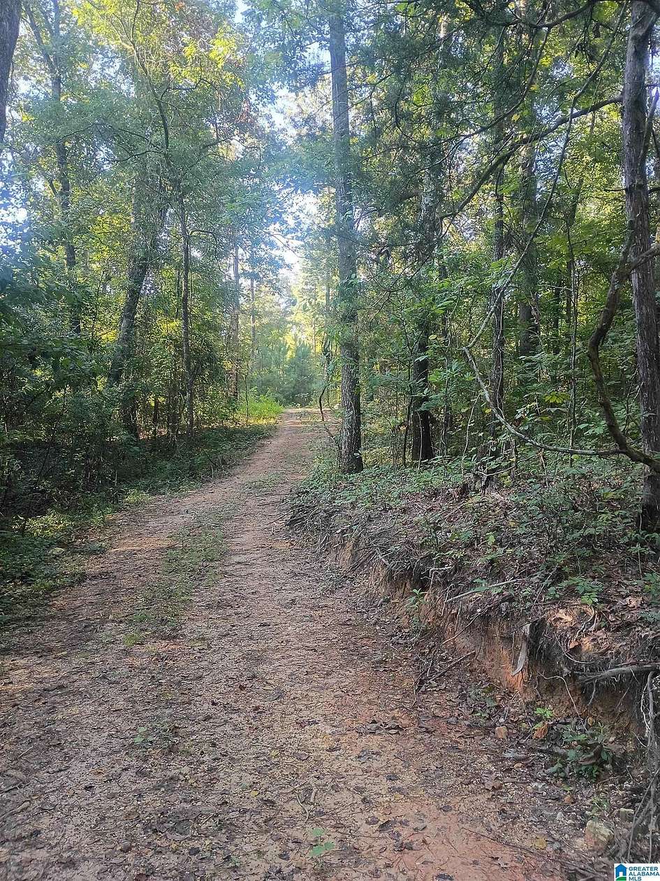 11 Acres of Land for Sale in Riverside, Alabama