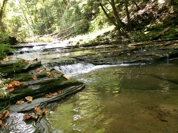 289 Acres of Recreational & Residential Land for Sale in Owego, New York