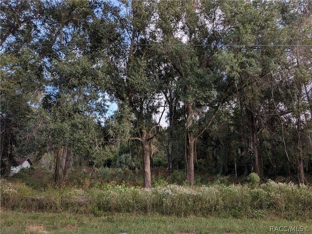1.64 Acres of Land for Sale in Floral City, Florida