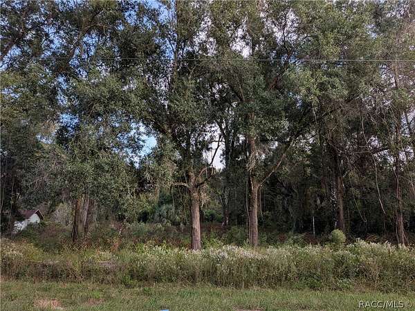 1.64 Acres of Land for Sale in Floral City, Florida