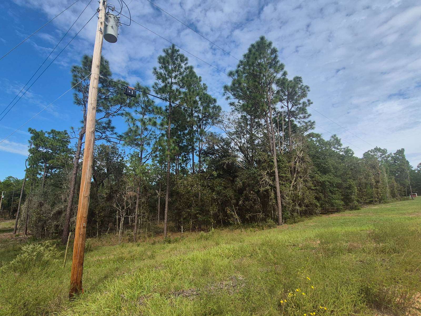 5 Acres of Land for Sale in Hawthorne, Florida