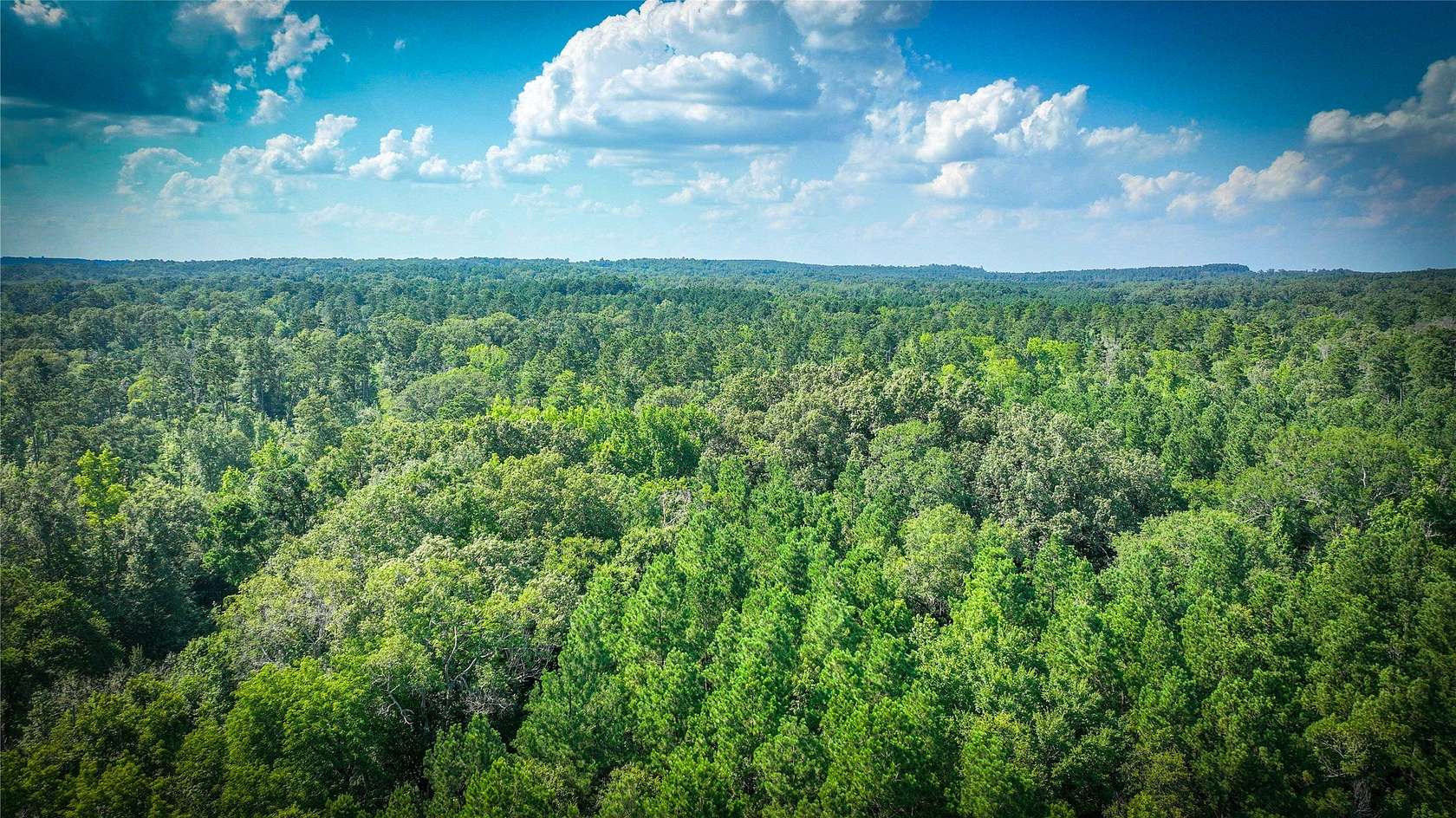 1 Acre of Residential Land for Sale in Garrison, Texas