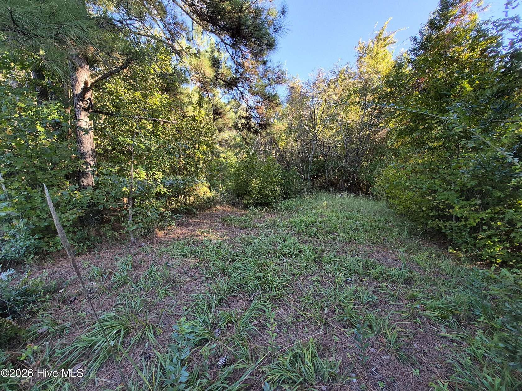 1 Acre of Land for Sale in Burgaw, North Carolina