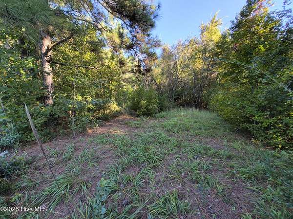 1 Acre of Land for Sale in Burgaw, North Carolina