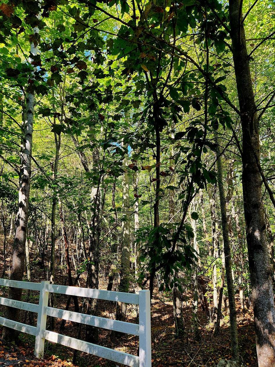 2.1 Acres of Residential Land for Sale in Spencer, Tennessee