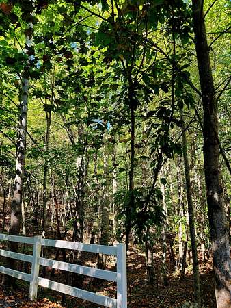 2.1 Acres of Residential Land for Sale in Spencer, Tennessee