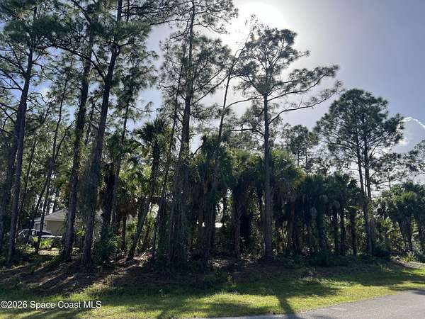 0.26 Acres of Land for Sale in Palm Bay, Florida
