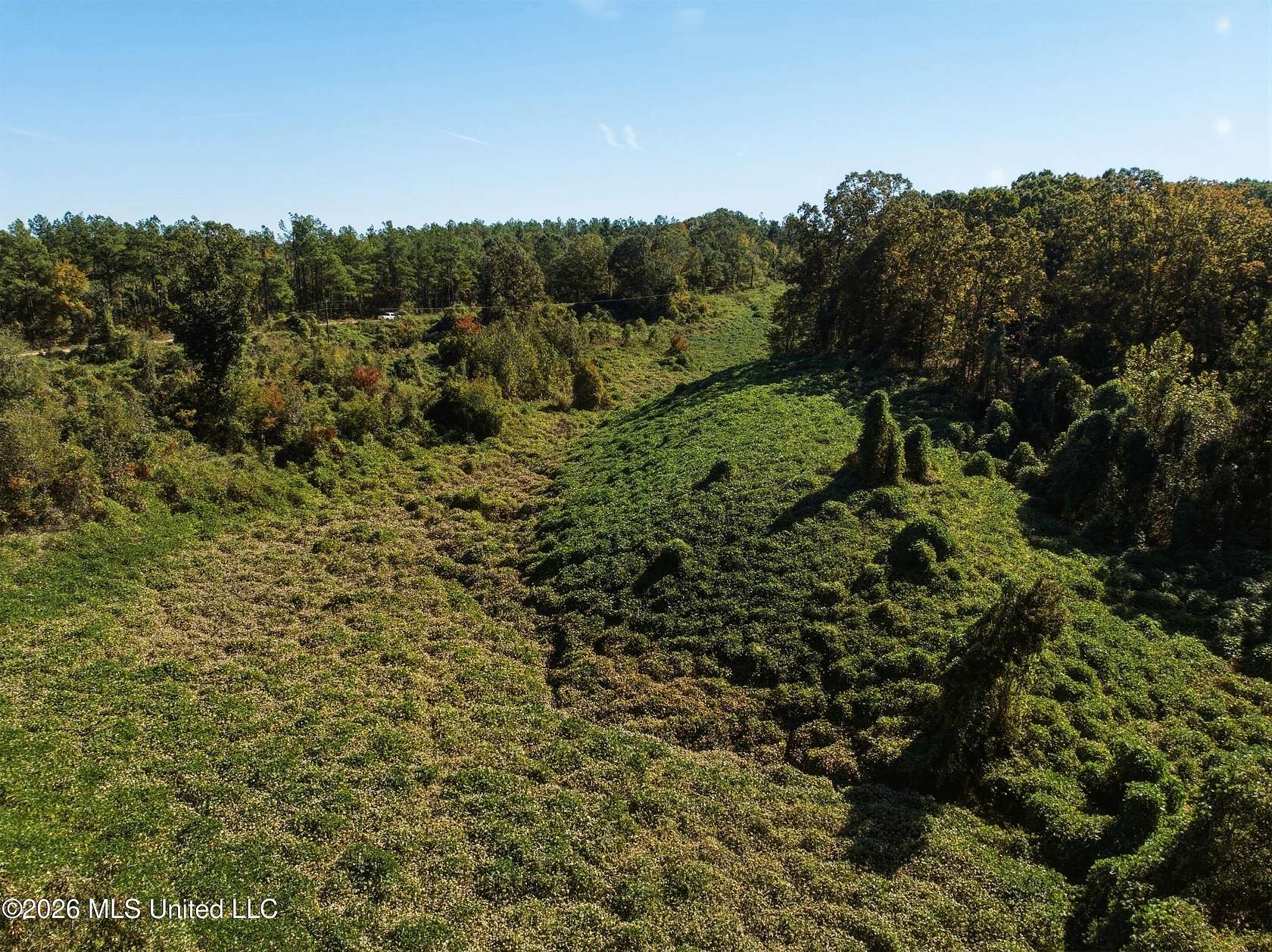 10 Acres of Residential Land for Sale in Holly Springs, Mississippi