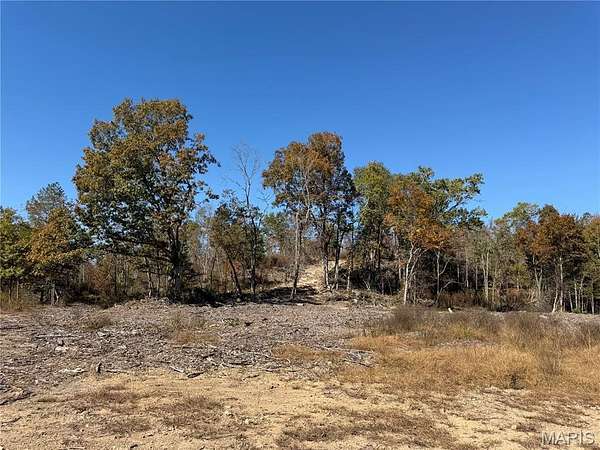 23.7 Acres of Recreational Land for Sale in Annapolis, Missouri