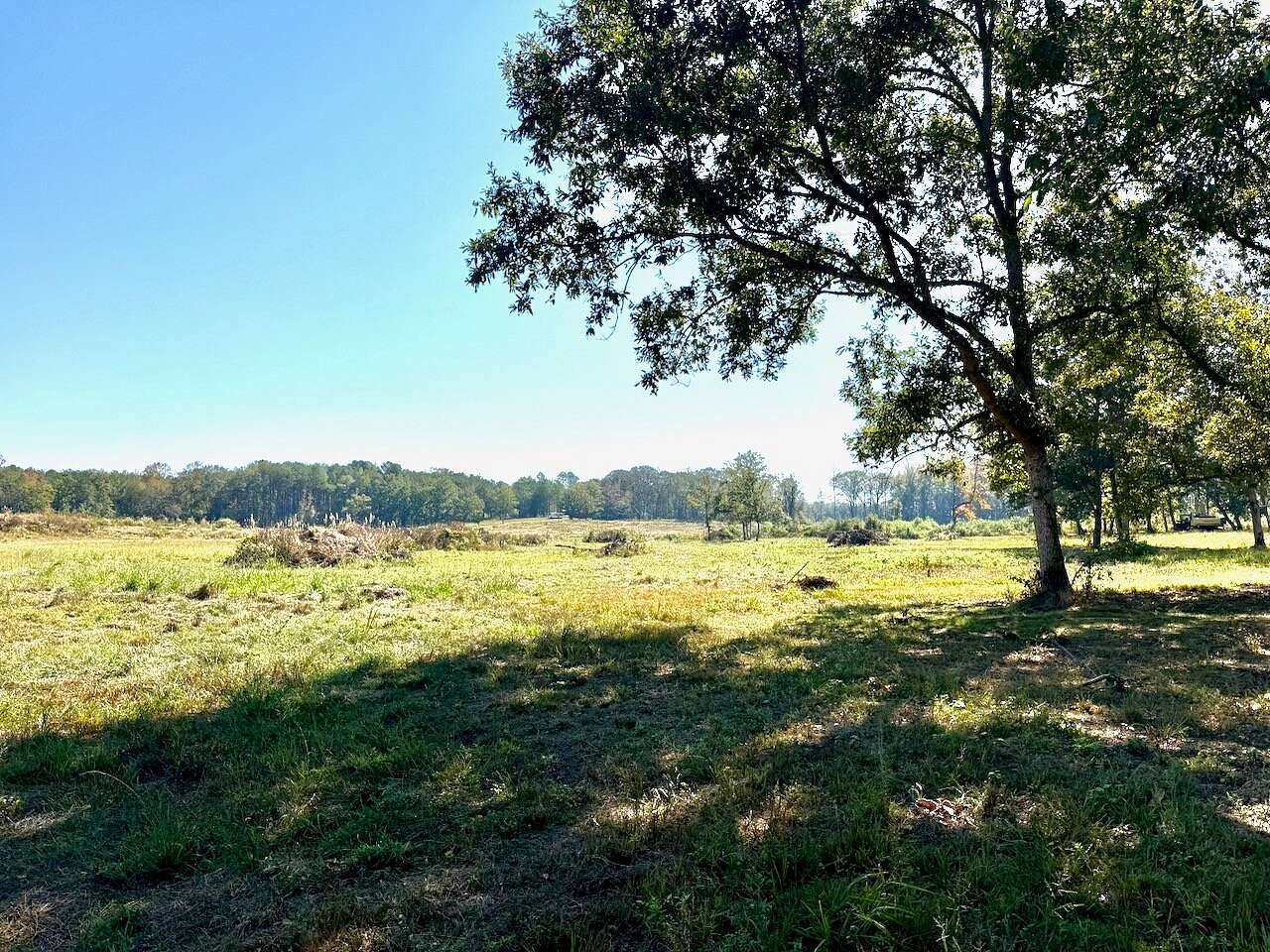 71 Acres of Land for Sale in Winfield, Alabama