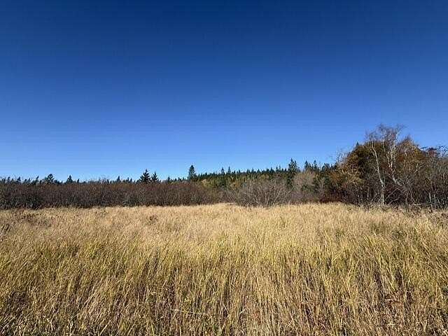 2 Acres of Land for Sale in Trescott Township, Maine