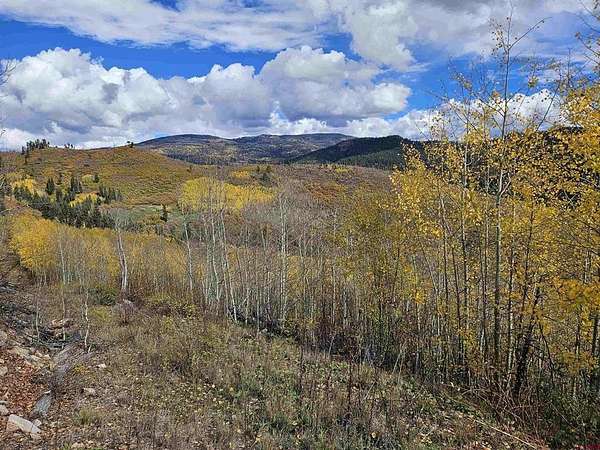 35 Acres of Recreational Land for Sale in Durango, Colorado