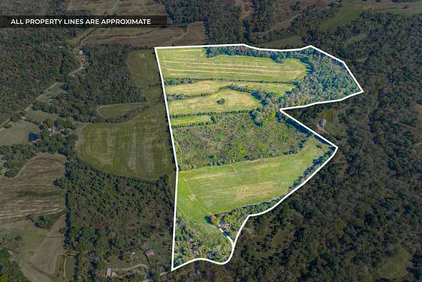 78.7 Acres of Land for Sale in Dawson Springs, Kentucky