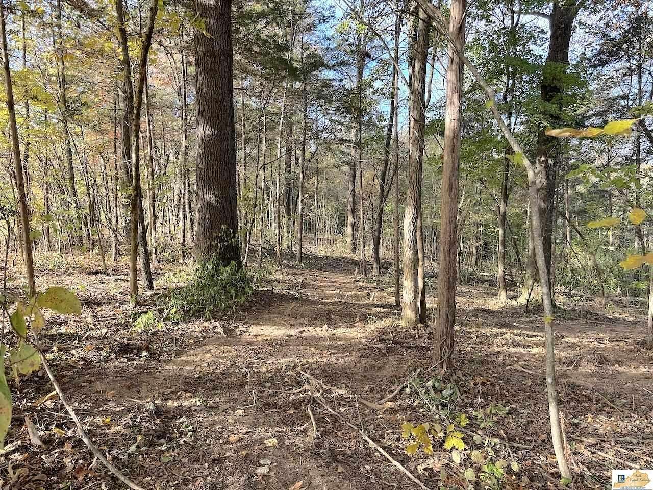 1 Acre of Residential Land for Sale in Columbia, Kentucky