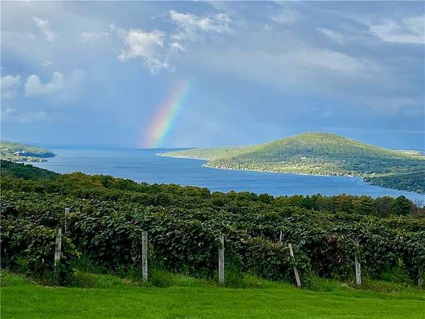 40.7 Acres of Land for Sale in Naples, New York