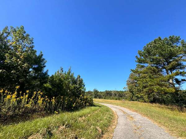 11.4 Acres of Recreational & Residential Land for Sale in Eldridge, Alabama