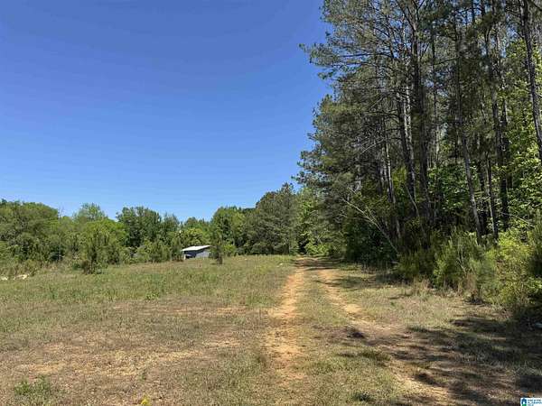 11.8 Acres of Land for Sale in Roanoke, Alabama