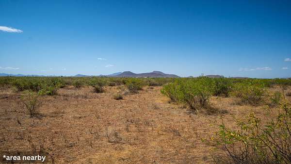 0.19 Acres of Residential Land for Sale in Douglas, Arizona