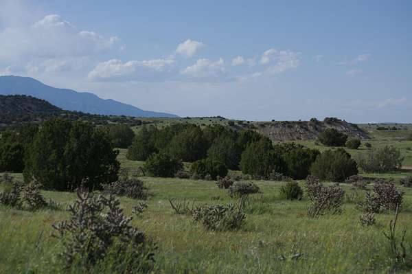 2 Acres of Land for Sale in Walsenburg, Colorado