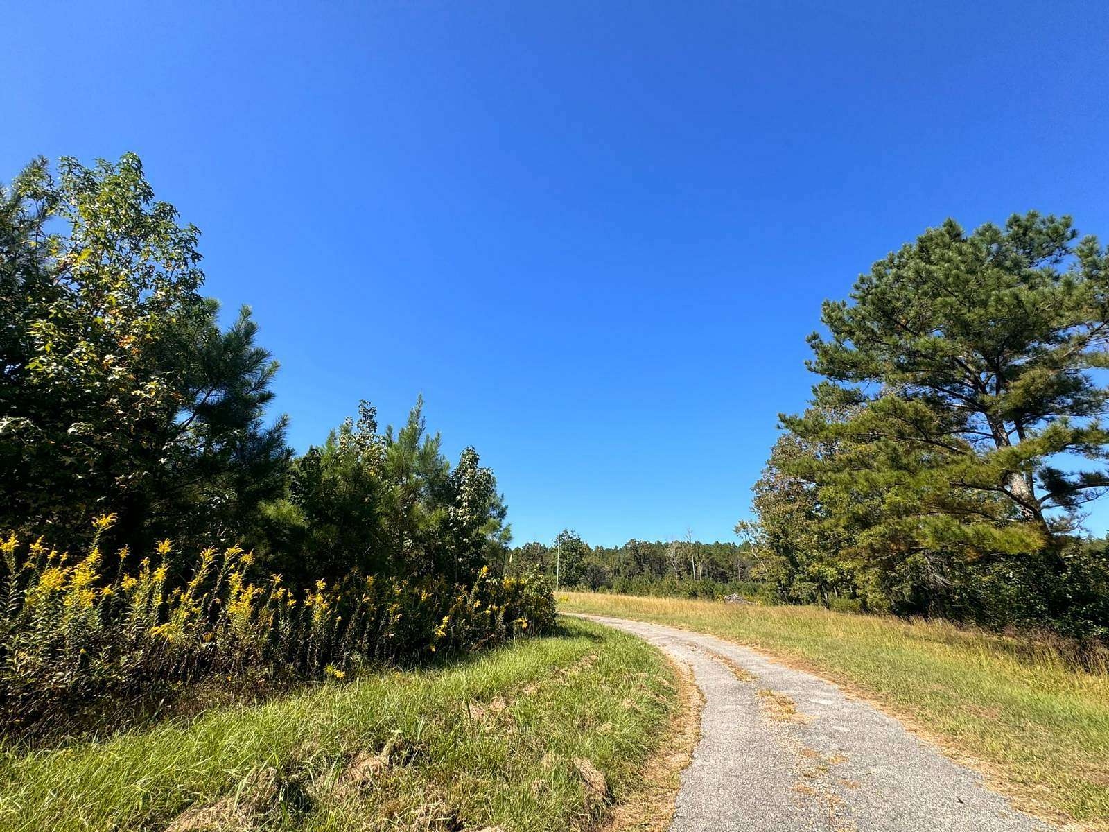 5 Acres of Residential Land for Sale in Eldridge, Alabama