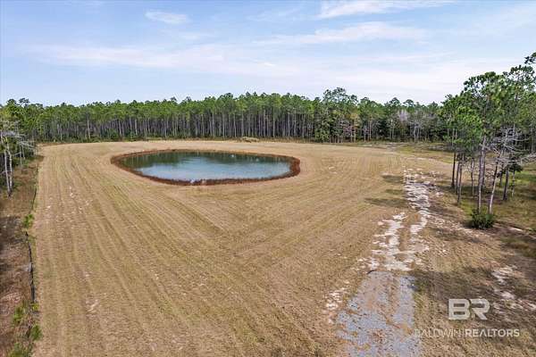 14 Acres of Land for Sale in Coden, Alabama