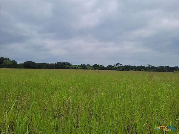 60 Acres of Recreational & Residential Land for Sale in Kempner, Texas