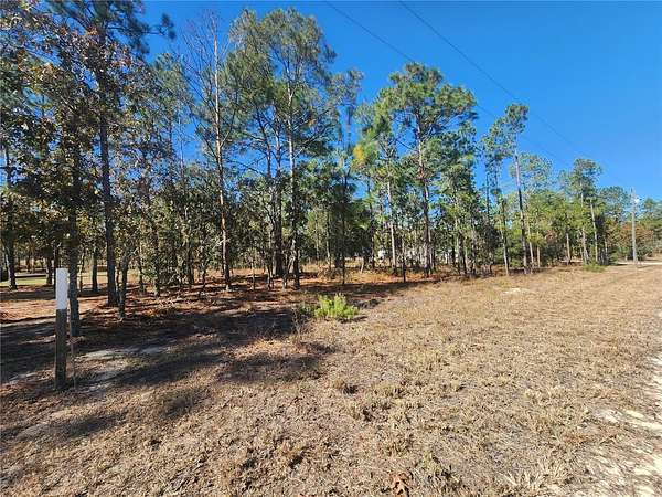 1 Acre of Residential Land for Sale in Clewiston, Florida