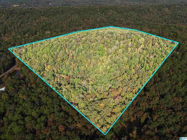 40 Acres of Recreational & Residential Land for Sale in Hueytown, Alabama