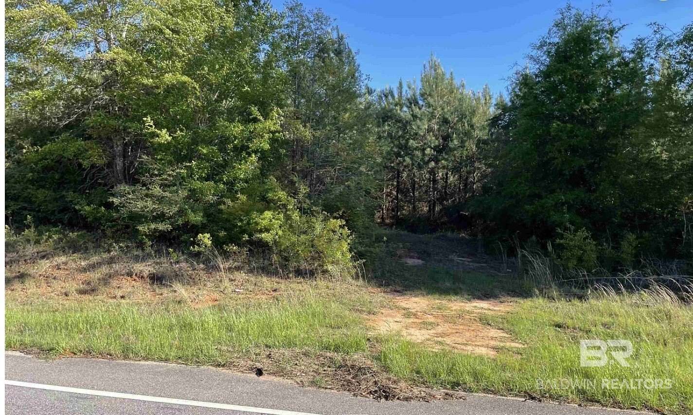 47.1 Acres of Land for Sale in Evergreen, Alabama