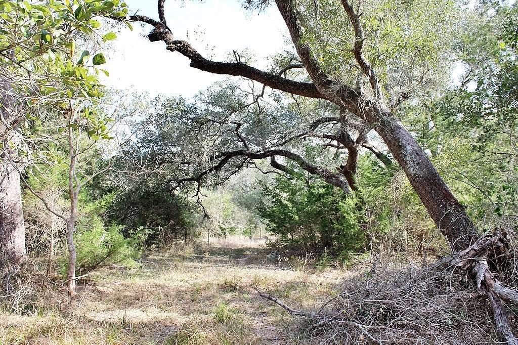 10.8 Acres of Recreational & Residential Land for Sale in Columbus, Texas